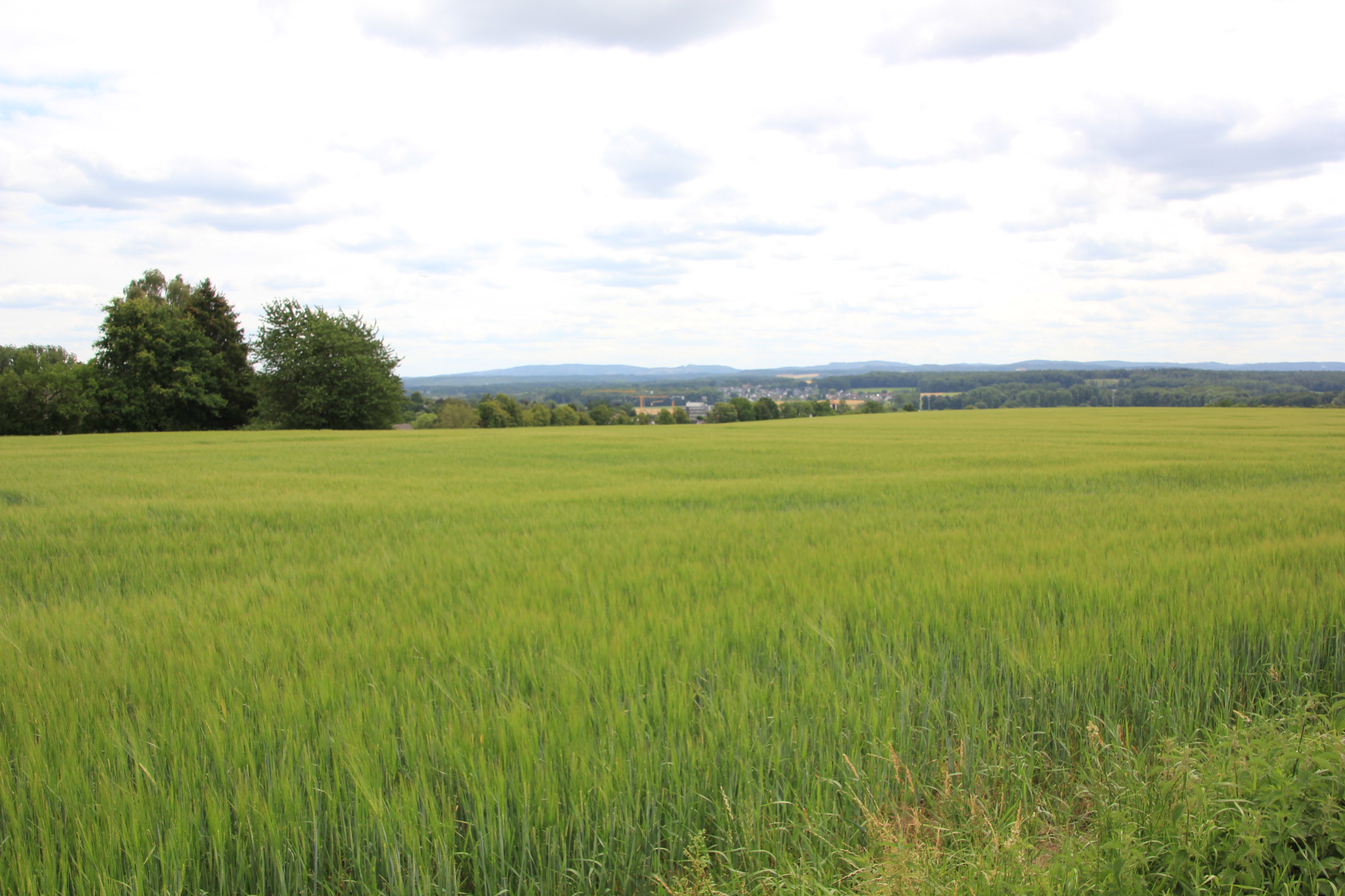 Schürenfeld