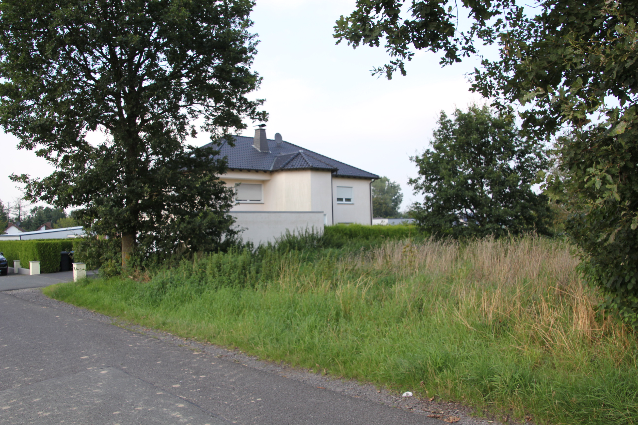 Hohenheide, In den Telgen