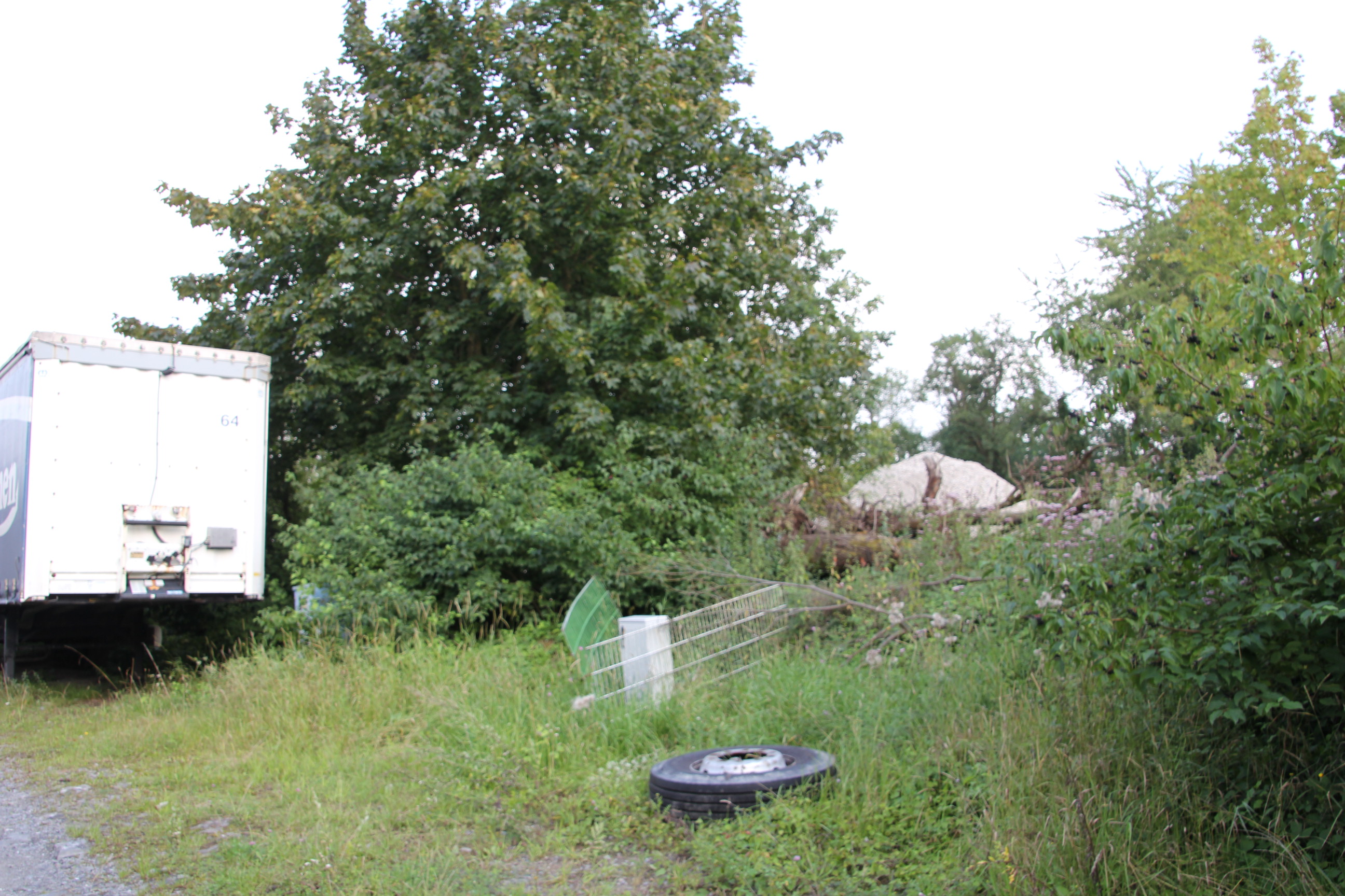 Hohenheide, In den Telgen