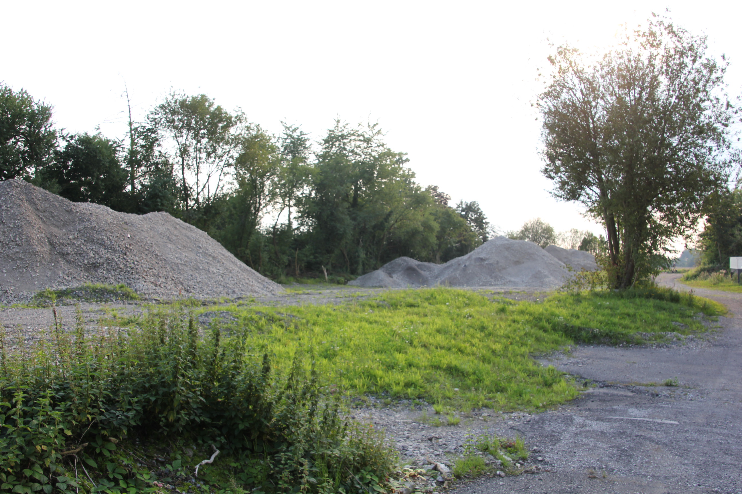 Hohenheide, In den Telgen