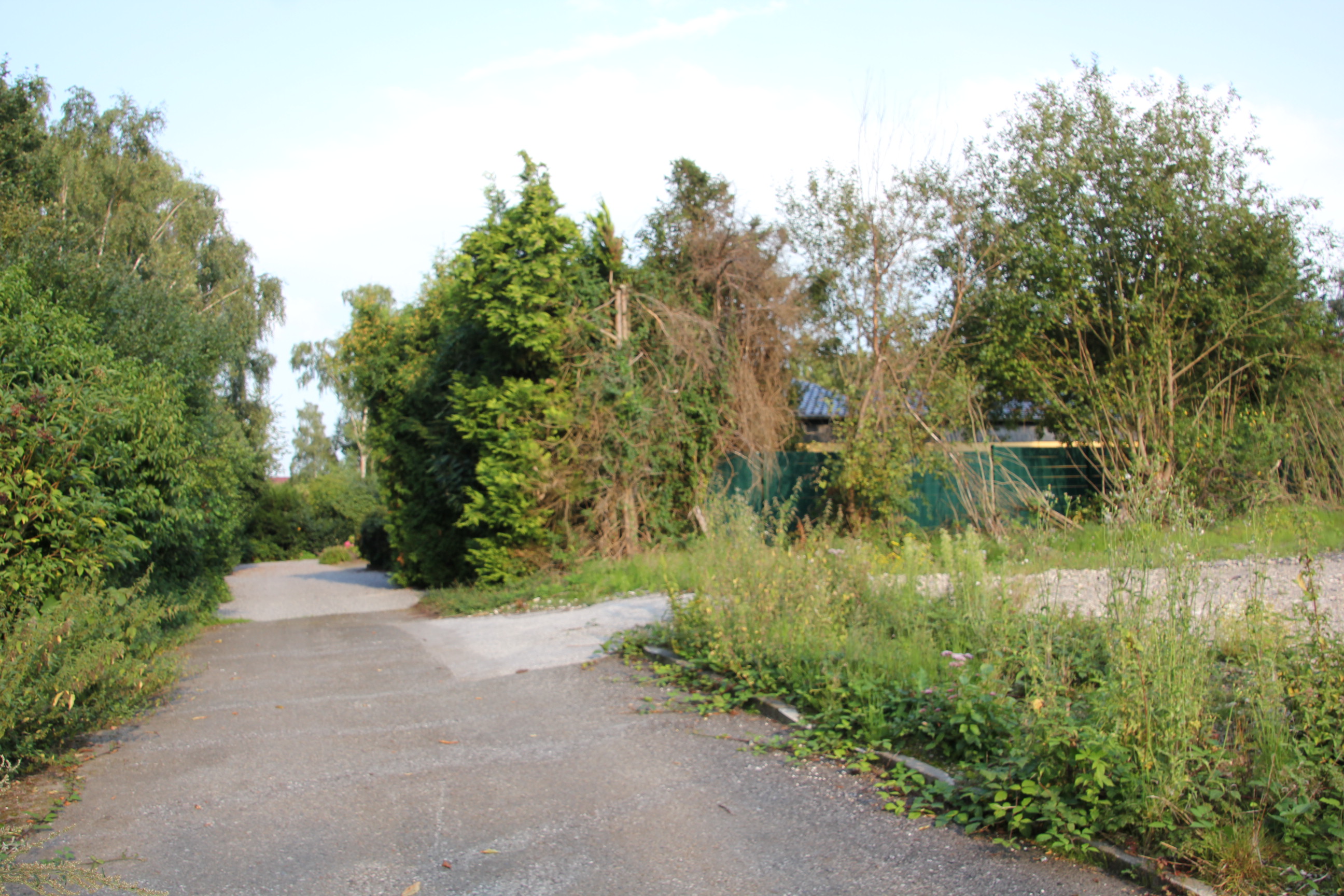 Hohenheide, In den Telgen